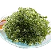 沖縄県産 海ぶどう(茎付き) 50g×2袋 沖縄の海の宝 プチプチ食感 海ぶどう 海藻 塩水漬け おつまみ