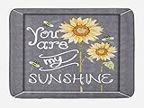 Lunarable You are My Sunshine Bath Mat, You are My Sunshine Words on Blackboard Bees Sunflowers Vintage Image, Plush Bathroom Decor Mat with Non Slip Backing, 29.5