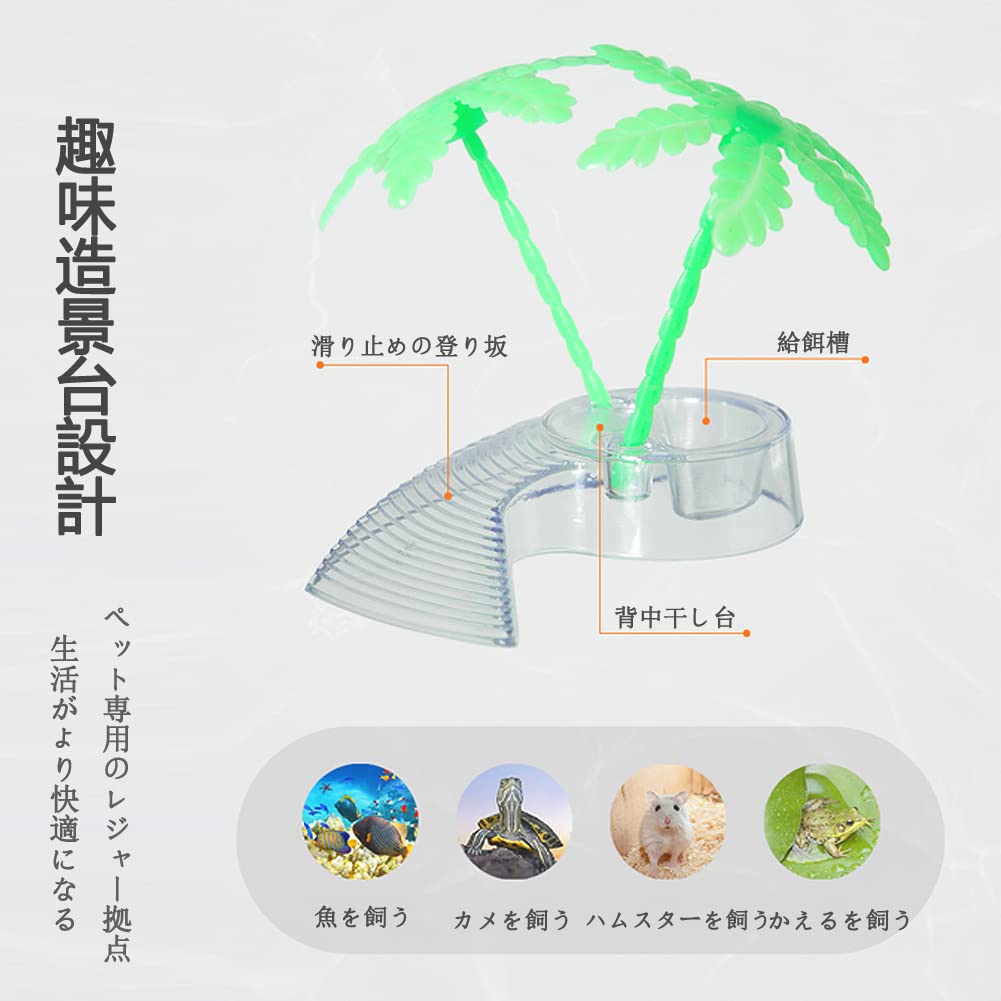 Amazon | 飼育ケース 飼育容器 虫かご 昆虫 飼育ランド ベタ水槽セット