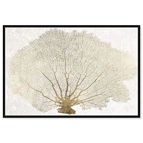 The Oliver Gal Artist Co. Nautical and Coastal Framed Wall Art Canvas Prints Coral Fa' Marine Life Home Décor