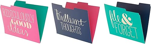 Roobee Gold Brilliant Thoughts, ridĂculamente buenas ideas, archivar y olvidar carpetas decorativas (juego de 9) Roobee Gold Brilliant Thoughts, ridĂculamente buenas ideas, archivar y olvidar carpetas decorativas (juego de 9)