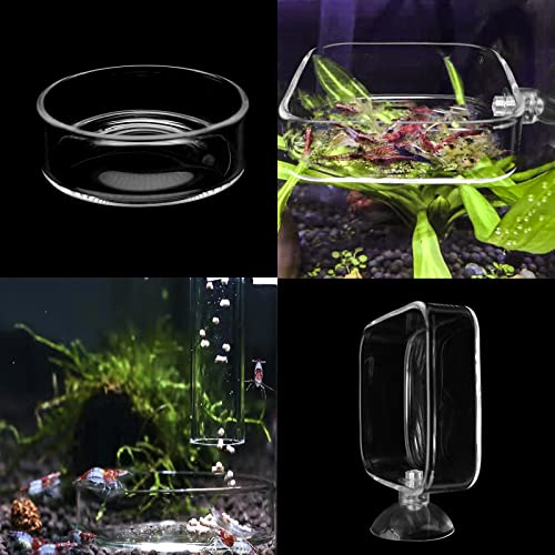 Image of Aquarium Shrimp Feeder Dish Glass Fish Tank Feeding Bowls, 2pcs Square Glass Food Bowl (60mm), 1pcs Round Fish Feeding Bowls with Suction Cups (60mm)