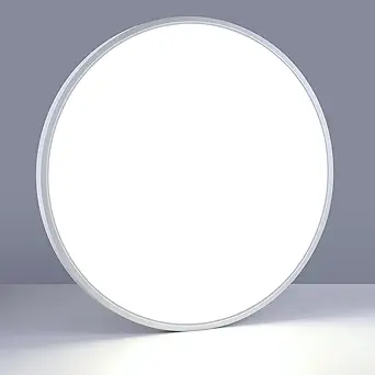 LightingWill 24 Inch LED Flush Mount Ceiling Light Fixture, 6000K Cool White, 5600LM, 45W, Flat Modern Round Lighting Fixture, 400W Equivalent White Ceiling Lamp for Kitchens, Bedrooms.etc.
