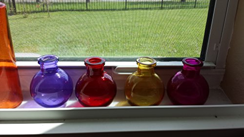 Ivy Lane Design 5-Pack Transparent Glass Vases, 3.5-Inch, Yellow
