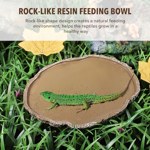 UEETEK Haustiere Fütterung Platte Reptil Fütterung Schüssel Vivarium Lebensmittel Wasser Dish Harz Schüssel für Schildkröte Gecko Schlange Haustier Zucht Tray