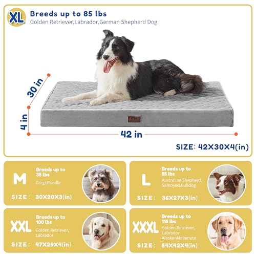 Orthopedic Dog Beds for Large Dogs with Removable Washable Cover Dog Crate Bed for Xxl Xl Large Medium Dogs Velvet Plush Pet Beds Antislip Bottom Sleeping Kennel Pad Mat 42 Inch Grey  Cucciolini Doodles Orthopedic dog beds for large dogs with removable washable cover dog crate bed for xxl xl large medium dogs velvet plush pet beds anti slip bottom sleeping kennel pad mat 42 inch grey   cucciolini doodles