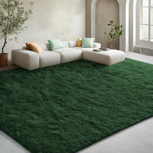 EVOIONOS 5x7 Washable Large Area Rug for Living Room, Fluffy Shag Rug for Bedroom, Ultra Soft Plush Non Slip Carpet for Indoor Floor Bedside Nursery Kids Girls Room Dorm, Home Decor Aesthetic, Green