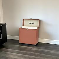 Amazon.com: LoopTone Retro Vinyl Record Storage Carrying