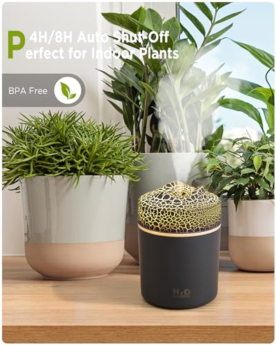 Image of Portable Mini Humidifier57