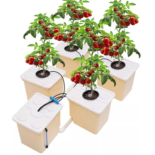 Batsueao DWC Hydroponics Grow System Kit with 5-Bucket /2.91-Gallon Deep Water Culture Triangular Cover Design Recirculating Top Drip Kit 4W Air Pump with HoseIncluding Cultivation Soil