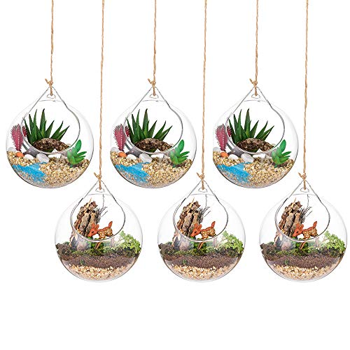 Plantas Colgantes de Aire 6 Piezas Portavelas de 4 Inches Cristal Terrario Portavelas Contenedores de Plantas de Vidrio para el Diseño de Bricolaje de Jardín de Bodas en Casa