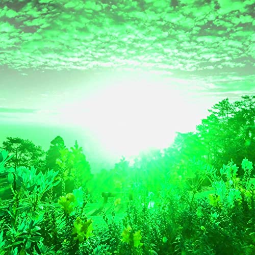 Amazon Music コーヒーハウスクラシックの貴重な気分 Amazon.co.jp