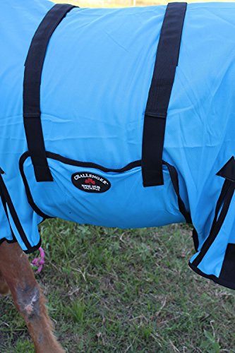 Image of 74 inch Horse Mesh Summer Sheet Spring Airflow 73401