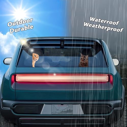 Image of 2 PCS Car Funny Cat Meme Sticker, Cute Kitten Decals for Cars, Laptop, Wall, Rear Window, Bumper, Humorous Automotive Decoration for Trucks & Vans(4 inch)