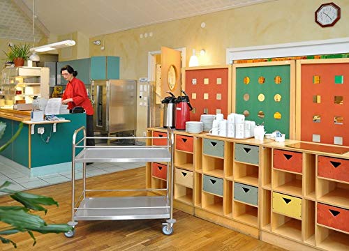 DS - Carrello portavivande, in Acciaio Inox, con 4 Ruote, 2 Freni, Portata 100 kg, 91 x 59 x 94 cm, qualità Industriale
