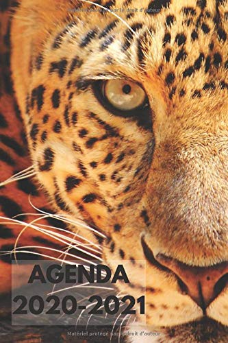 Télécharger AGENDA 2020-2021: Journalier/ agenda professionnel et étudiant/ PDF Ebook En Ligne
