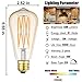 LEOOLS 12W Dimmable Vintage Edison LED Light Bulb,100W Equivalent,ST64 Filament Bulbs, 2500K Warm White,Amber Glass, Antique Shape, Squarrel Cage Filament Vintage Light Bulb, 2-Pack.