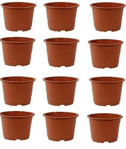 SPHINX Starter kit Small Nursery Pots Planters (Height/Depth - 10 cms) Set of 12 pieces and 200Gm All Purpose Dap N:P:K Fertilizer
