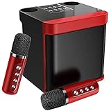 Karaoke Speaker with Two Microphones