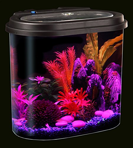 Koller Products AP4500IF Aquaview 4.5-Gallon Aquarium Starter Kit With Full Filtration And Led Lighting (7 Dazzling Color Selection), Ideal For A Variety Of Tropical Fish thumb #9
