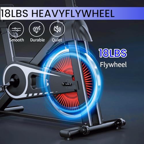 Image of NAYSAYE Exercise Bike, Adjustable Stationary Bikes with Smartphone Mount, Professional Exercise Bike with Digital Pulse Display for Home and Office