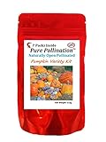 7 American Grown Pumpkin Variety Seed Pack Heirloom Garden Open Pollinated Non-GMO