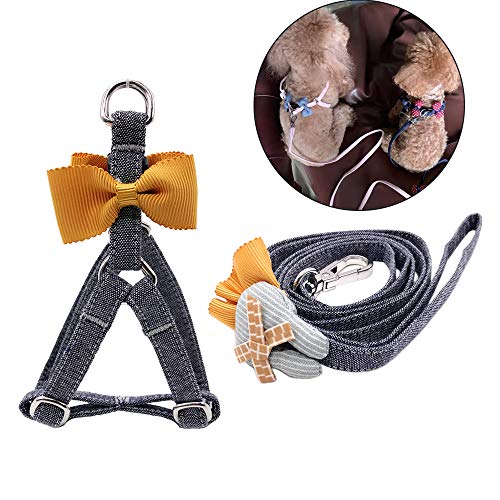 CatYou Cat Harness and Leash Set Dog Adjustable Collar Leash Combo Fit Kitten Cats Puppy Small Dogs Rabbit (Small, Gray)