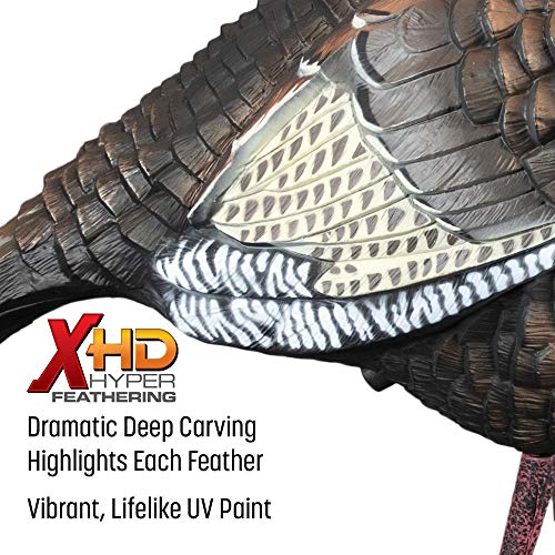 Higdon Outdoors 1/4 Strut Jake Turkey Decoy for Attracting Hens, Toms, Gobblers & Jakes While Turkey Hunting