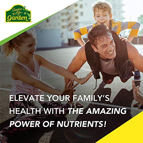 Naturesplus Source Of Life Garden Certified Organic Vitamin K2-120 Mcg, 60 Vegan Capsules - Bone Health Supplement - With Natural Whole Food Enzymes - Vegetarian, Gluten-Free - 60 Servings #TOP3