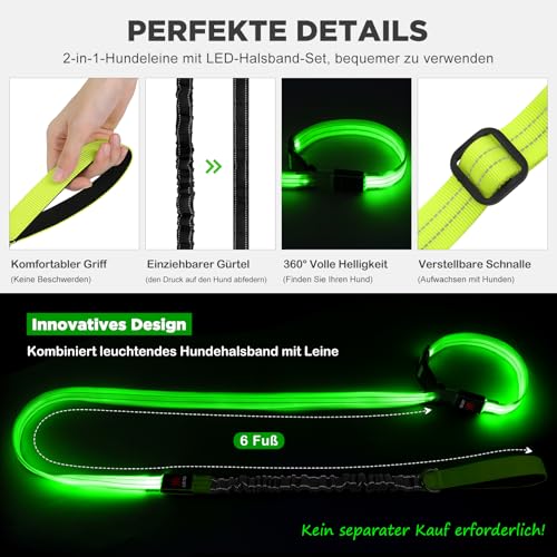 Leuchthalsband Hund & LED Hundeleine Set 2-in-1 Aufladbar mit Typ-C, 500m Sichtbarkeit Dehnbares Band für Nachtspaziergänge（Grün，L