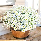Daisy Artificial Flowers for Outdoors Decoration, 6 Bundles Fake Plants Flowers Bouquet Faux Flowers for Outdoor Planter Look Real UV Resistant Silk Flowers for Outside Front Door Porch Patio, White
