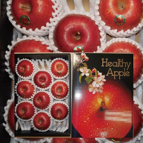 �X���Y �����p ��� �R���� �T���ӂ� ���Ε�A���N�n�A�v���[���g�� �̂��Ή��I ���ϔ�����