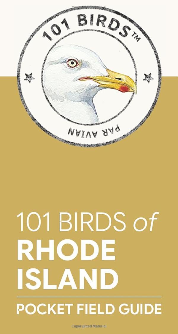 101 Birds of Rhode Island: Pocket Field Guide (101 Birds Pocket Field Guides)