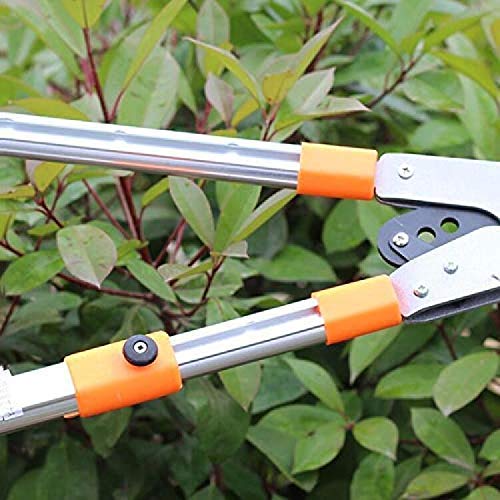 Tijeras de podar telescópicas para árboles de jardín, corte fácil para tijeras de podar de calidad para jardinería, tijeras de podar de trinquete resistentes, extensibles de 66 a 101 cm para toda