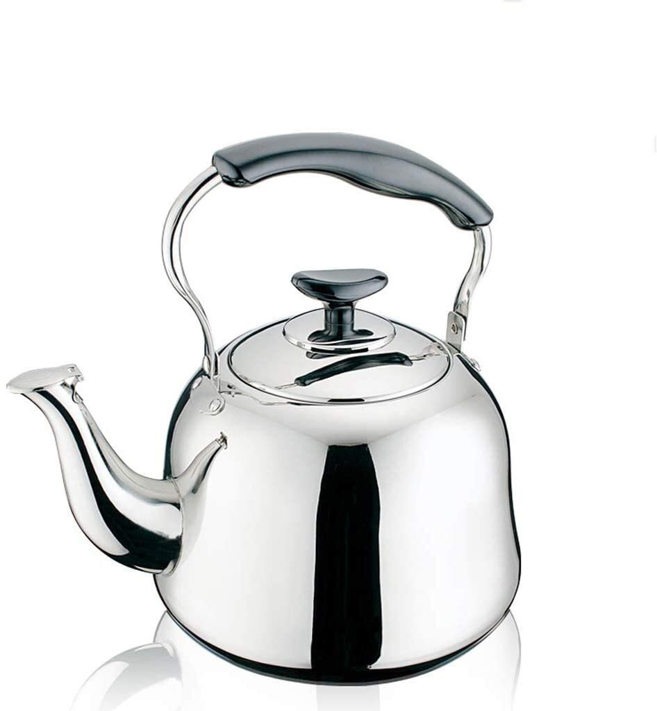 Teapot en acier inoxydable SHISHI 5L bouilloire sifflante durable