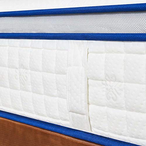 Sunrising Bedding 11" Natural Latex Hybrid Mattress Queen, Euro Top, Individually Pocketed Coils, Medium Soft, Organic Mattress, 120-Night Risk-Free Trial, 20-Year Warranty #TOP4