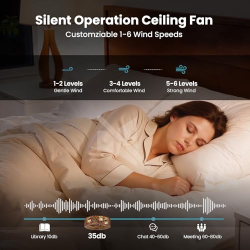 Image of 20 inch Flush Mount Ceiling Fan with Light, Wooden Caged Low Profile Fandelier with Remote, 6-Speed Reversible Bladeless Fan, Farmhouse Ceiling Fan for Bedroom, Kitchen, Living Room