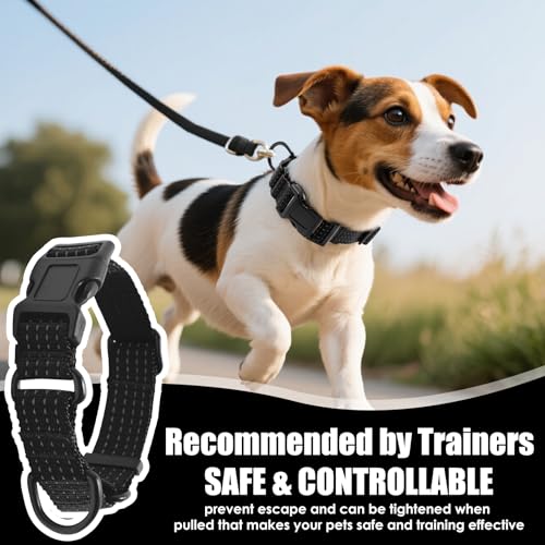 Image of Martingale Dog Collar, Reflective No Pull with Buckle, Black, S | Escape Proof without choking ,Training Collar with Quick Release Buckle, Adjustable Heavy Duty Nylon collars for S M L Dogs