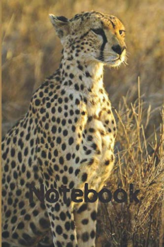 NOTEBOOK: Cheetah notebook with 120 lined pages 6” x 9” perfect for everyday use