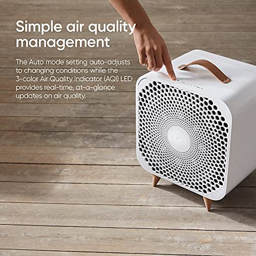 Blueair Pure Fan Auto, 3-Speed Hepasilent Room Fan, Cools + Cleans, Removes Allergens Dust Pollen For Floor Table Desk And Bedrooms, White, Medium #TOP2