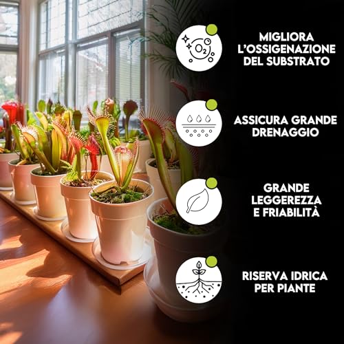 Substrat pour Plantes Carnivores et Plantes Acides (2,5 litres Substrat pour Plantes Carnivores et Plantes Acides (2,5 litres