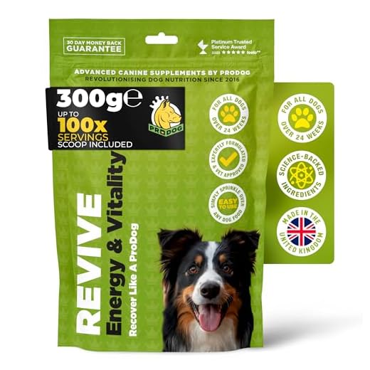 Natural Energy Solution for Active Dogs