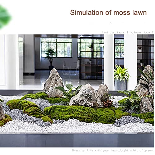 Aspzq Simulation Artificial Moss Grass Turf Mat Wall Green Plants Diy Home Lawn Mini Garden Micro Landscape Decoration (Color : N, Size : 1X1M) #TOP2