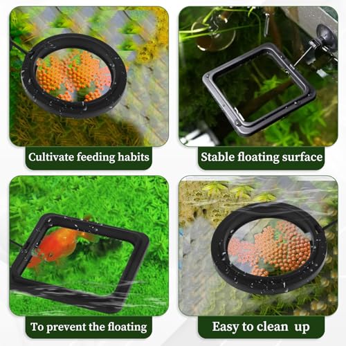 2 Pcs Futterautomat, Schwimmpflanzen Aquarium Futterring mit Saugnäpfen Schwimmende Pflanzenringe Wasserwechsel-Fischfutterspender Schwimmender Ring für Bettas, Goldfisch, Schildkröte (Schwarz)