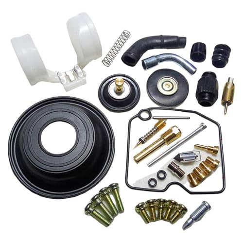 Kit de réparation carburateur pour supprimer les fuites sur Vulcan VN800 Drifter