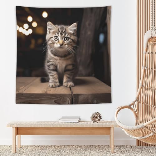 Couverture murale amusante chat impression haute définition