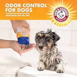 Arm & Hammer Super Deodorizing Shampoo For Dogs – Odor Eliminating Dog Shampoo For Smelly Dogs & Puppies With Arm & Hammer Baking Soda — Kiwi Blossom Scent, 20 Fl Oz,White