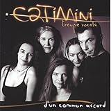 honda accord tourer type s gebraucht  Chacun Son Tour