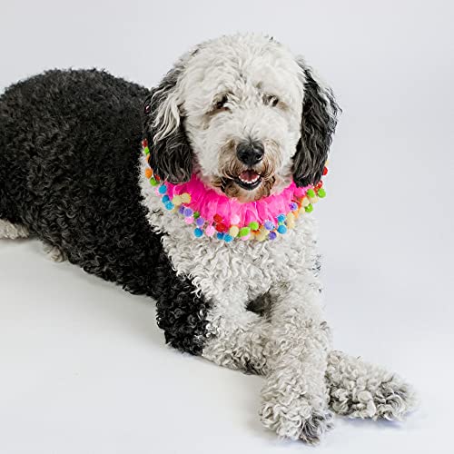 Midlee Pink Birthday Pom Pom Dog Collar (X-Large) #TOP3