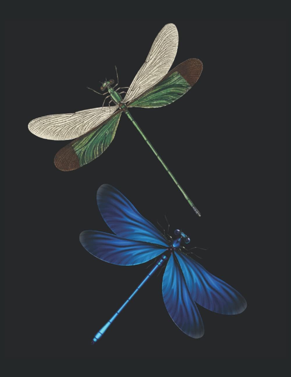Dragonfly Pattern Insect Summer Sun Motivation Focus Discipline Lake Sea: ANTI STRESS COLORING BOOK - Mandalas - Funny Dragonfly Blend Pattern - A4 ... Templates - Antistress - Relax - Coloring